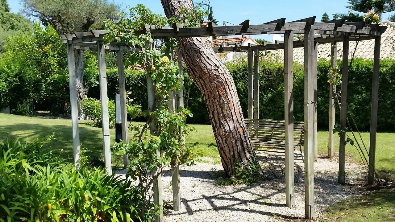 Apartment Green Cap D'Antibes